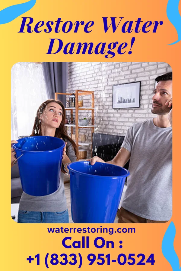 water restoration Ideal Water Repair Group Holmes Beach