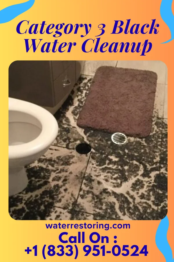 Category 3 Black Water Cleanup in Holmes Beach, FL