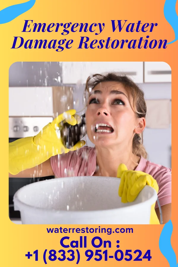 Emergency Water Damage Restoration in Holmes Beach, FL
